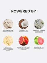 Natural ingredients are highlighted with images and benefits: Amazonian clay for long wear, coconut oil for nourishment, gardenia flower for antioxidants, vitamin E for preservation, grapefruit extract for brightening, and guava seed oil for moisture.